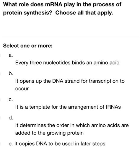 What role does mRNA play in the process of protein synthesis? Choose ...