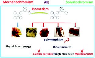 Deep Insights Into Polymorphism Initiated By Exploring Multicolor