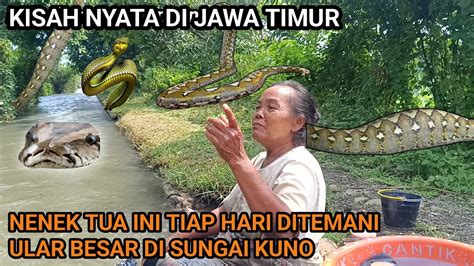 Kisah Nyata Nenek Tua Renta Hidup Bersama Ular Besar Penunggu