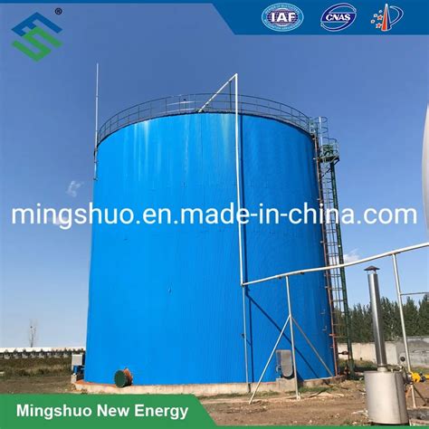 Pig Farm Wastewater Treatment Bioreactor Biogas Plant Digester And