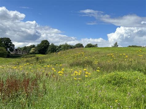 Town Fields Jonathan Hutchins Cc By Sa 2 0 Geograph Britain And