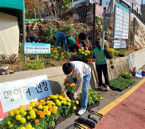 부산 북구 만덕1동 새마을부녀회 마을 환경정비 실시 부산의 대표 정론지 국제신문