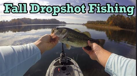 Fall Dropshot Fishing Fall Kayak Bass Fishing Ascend 113x Bass