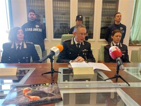 Carabinieri Forestali In Calabria E Sicilia 54mila Controlli Nel 2022