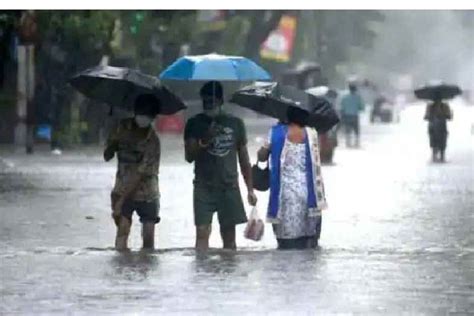 Heavy Rains Trigger Flood Like Situation In Three Rajasthan District