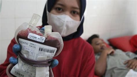 Syarat Donor Darah Dan Juga Beragam Manfaatnya Bagi Tubuh Narasi Tv