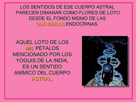 La Glandula Pineal Ppt