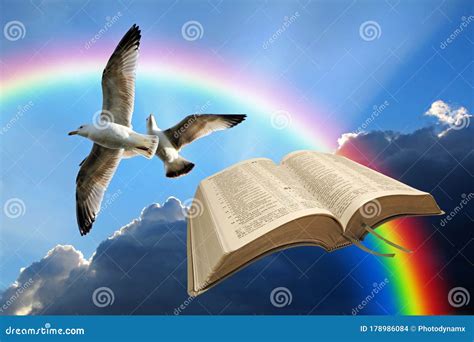 Bible Birds Of Freedom Sky Clouds Flying Fly Flight Spiritual