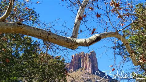 Chiricahua Wilderness - CTShlaer Photography