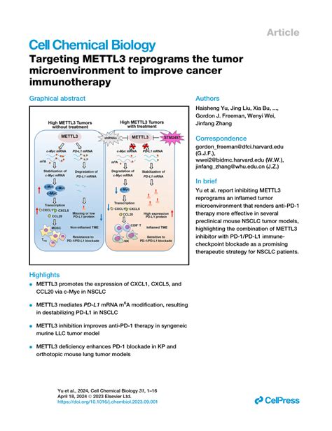 Pdf Targeting Mettl3 Reprograms The Tumor Microenvironment To Improve