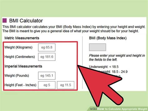 How To Calculate Your Bmi Equation Tessshebaylo