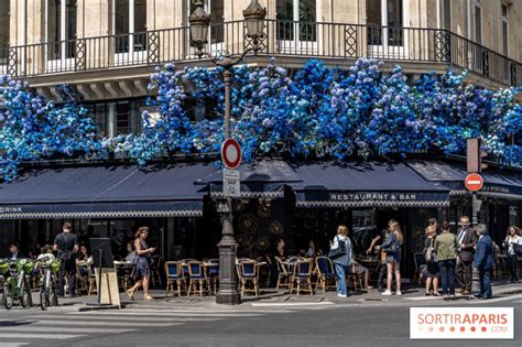 Los Caf S Con Flores M S Bonitos De Par S Sortiraparis