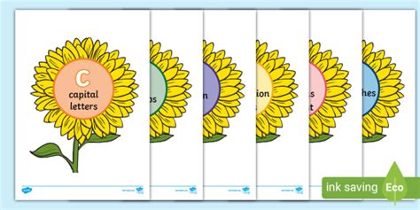 Sunflower Punctuation Display Teacher Made