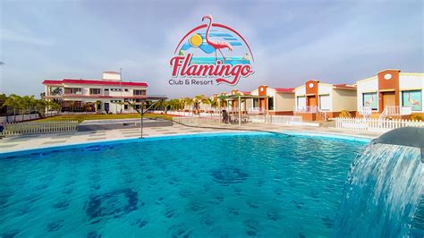 Flamingo Club And Resort