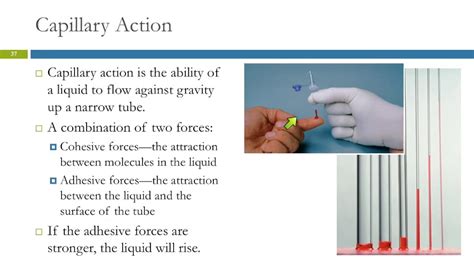 Capillary Action Definition