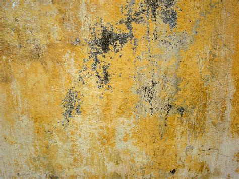 Free Yellow Wall Texture Stock Photo Freeimages