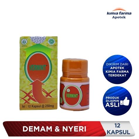 Jual Vermint 12 Kapsul Cacing Lumbricus Rubellus Untuk Demam Thypus