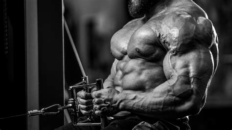 La Mort Tragique Du Bodybuilder Trevor Smith