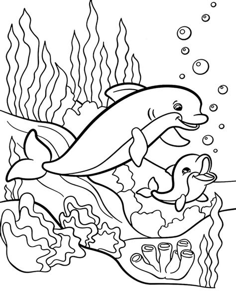 Dolphin coloring pages – Artofit