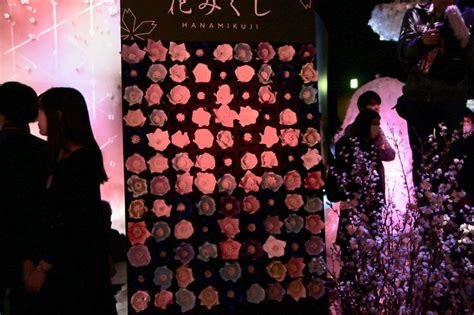 日本一早いお花見が今年も日本橋で開催今年は 度桜で囲まれた空間が登場花のイマーシブイベントFLOWERS BY NAKED ー東京日本橋ー 火 より開催