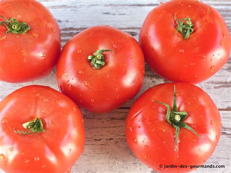 Tomates Farcies Jardin Des GourmandsJardin Des Gourmands