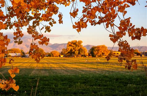 Here Are 14 Photos Of Fall In New Mexico That Will Take Your Breath Away