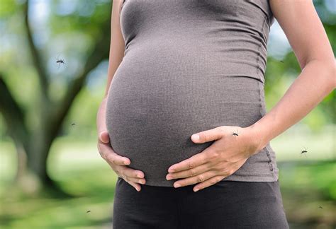 Dengue During Pregnancy Reasons Signs Risks And Treatment