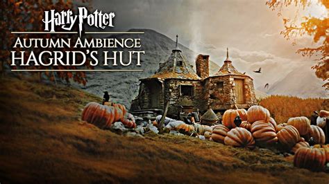 Harry Potter Hagrid S Hut Artofit