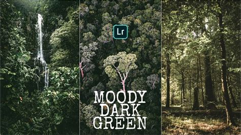 Moody Green Lightroom Mobile Presets Youtube