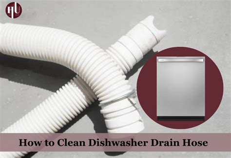 How To Clean Dishwasher Drain Hose Without Removing It