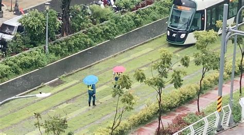 觀傳媒 高屏新聞 獨家直擊／草皮外翻高雄輕軌列車雙向突「停駛」12分鐘 2駕駛冒雨排除乘客下車返程