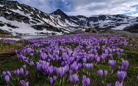 X Rila National Park Rila Mountains