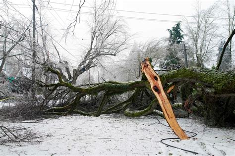 Oregon power outage: 'Most dangerous conditions' ever seen Damage power ...