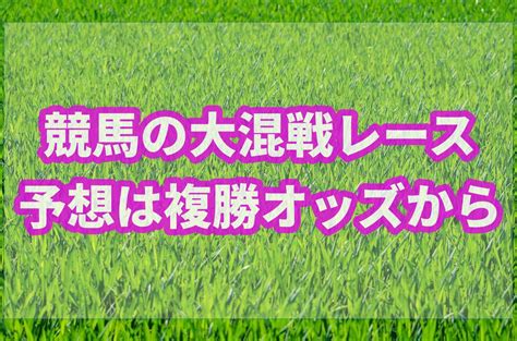 競馬の大混戦レースを制するのはどの馬オッズから激走馬を見つける方法 サラリーマンが競馬で毎月5万円お小遣いを稼ぐブログ