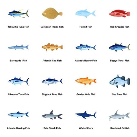 Fish Types Vector Art, Icons, and Graphics for Free Download