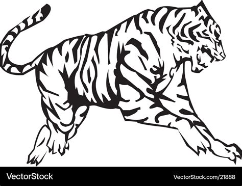 Tiger Royalty Free Vector Image VectorStock