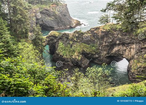 Natural Bridges Cove Oregon Stock Image Image Of Samuel Park 101038773