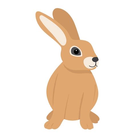 Premium Vector | Rabbit on white background isolated vector