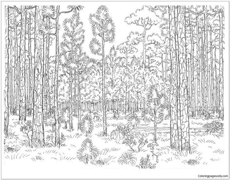 Old Forest Coloring Page - Free Printable Coloring Pages