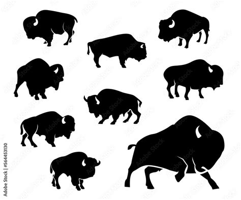 Silhouette Of Bison Vector Bison Silhouette Vector Illustration Set