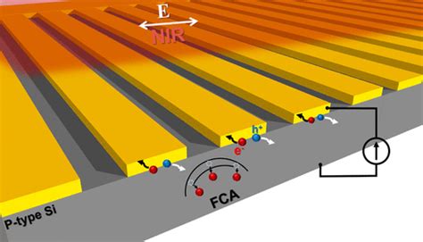 Combining Plasmonic Hot Carrier Generation With Free Carrier Absorption