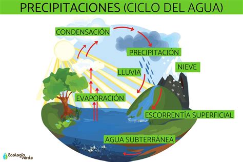 Tipos De Precipitaciones Clasificaci N Nombres Y Caracter Sticas