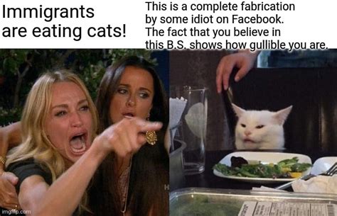 Woman Yelling At Cat Memes - Imgflip