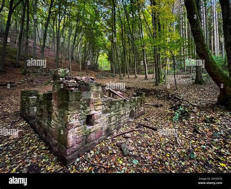 Ruins Of An Old Brick Structure In The Forest Stock Photo Alamy