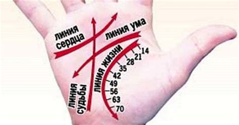 Как гадать по руке