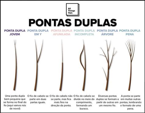 Saiba Tudo Sobre As Pontas Duplas Inclusive Como Se Livrar Delas