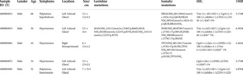 Tumor Mutational Burden Levels Of 16 Patients Download Scientific