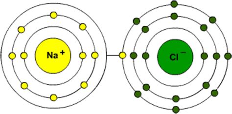 Primary And Secondary Bonds Owlcation