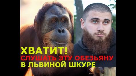 ДИЧ / лев против / РЕЙД БЕЗ СОВЕСТИ / Лазутин - YouTube