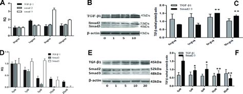 Tgf β Signaling In Synovial Sarcoma A Rna Was Isolated From Sw982